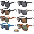 Biohazard Polarized Sunglasses, 2 Styles Mixed BIP014/6