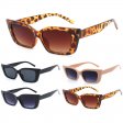 Cooleyes Bondi Collection Fashion Plastic Sunglasses 3 Styles BD001/2/3