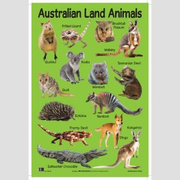 Australian Land Animals - Educational Chart (MM07009)  Australian Land Animals - Educational Chart (MM07009)