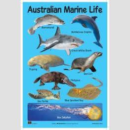 Australian Marine Life - Educational Chart (MM07207)  Australian Marine Life - Educational Chart (MM07207)