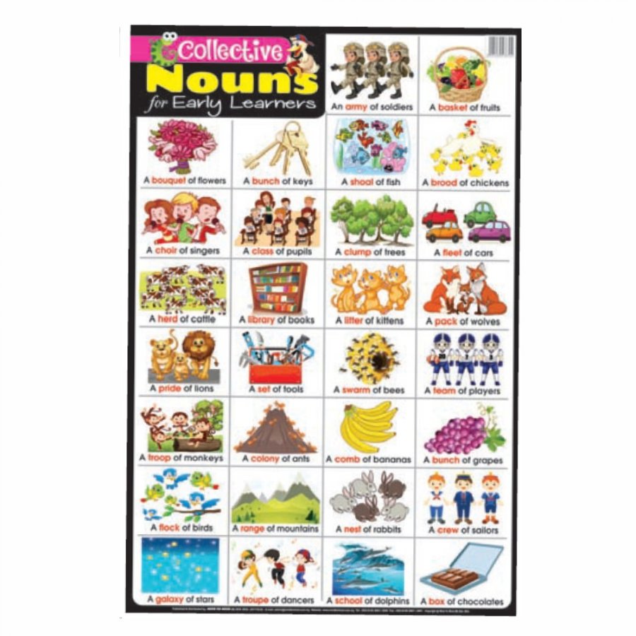 Collective Nouns for Early Learners - Educational Chart (MM38704)