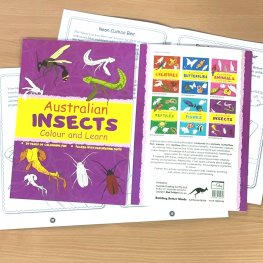 Australian INSECTS Colour and Learn MM50708  Australian INSECTS Colour and Learn MM50708