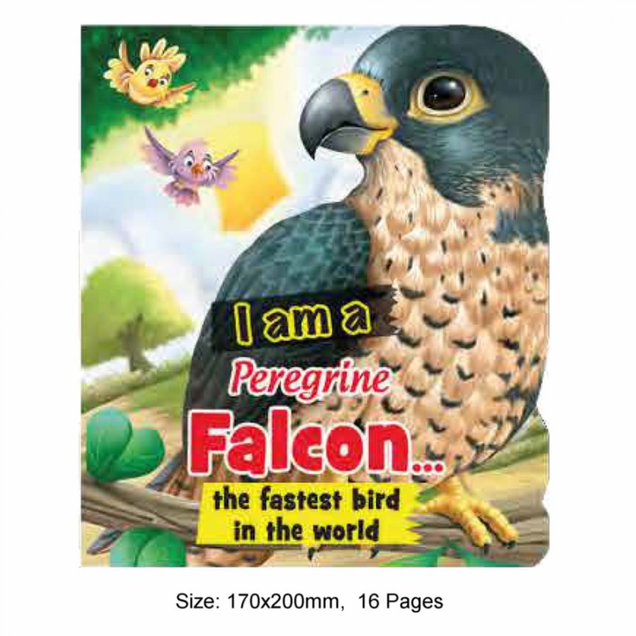 I am a Falcon(MM67371)