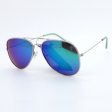 Aviator Metal Polarized Sunglasses AV008PM