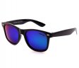 Fashion Polarized Tinted Lens Sunglasses PP1319-4