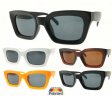 The Paris Collection Fashion Plastic Polarized Sunglasse 2 Styles Mixed PPF5353/5354