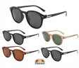 Cooleyes Classics Fashion Plastic Polarized Sunglasses 2 Style Asst PPF5355/5356