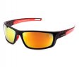 Swisssport Sunglasses - Gold Tag SW282