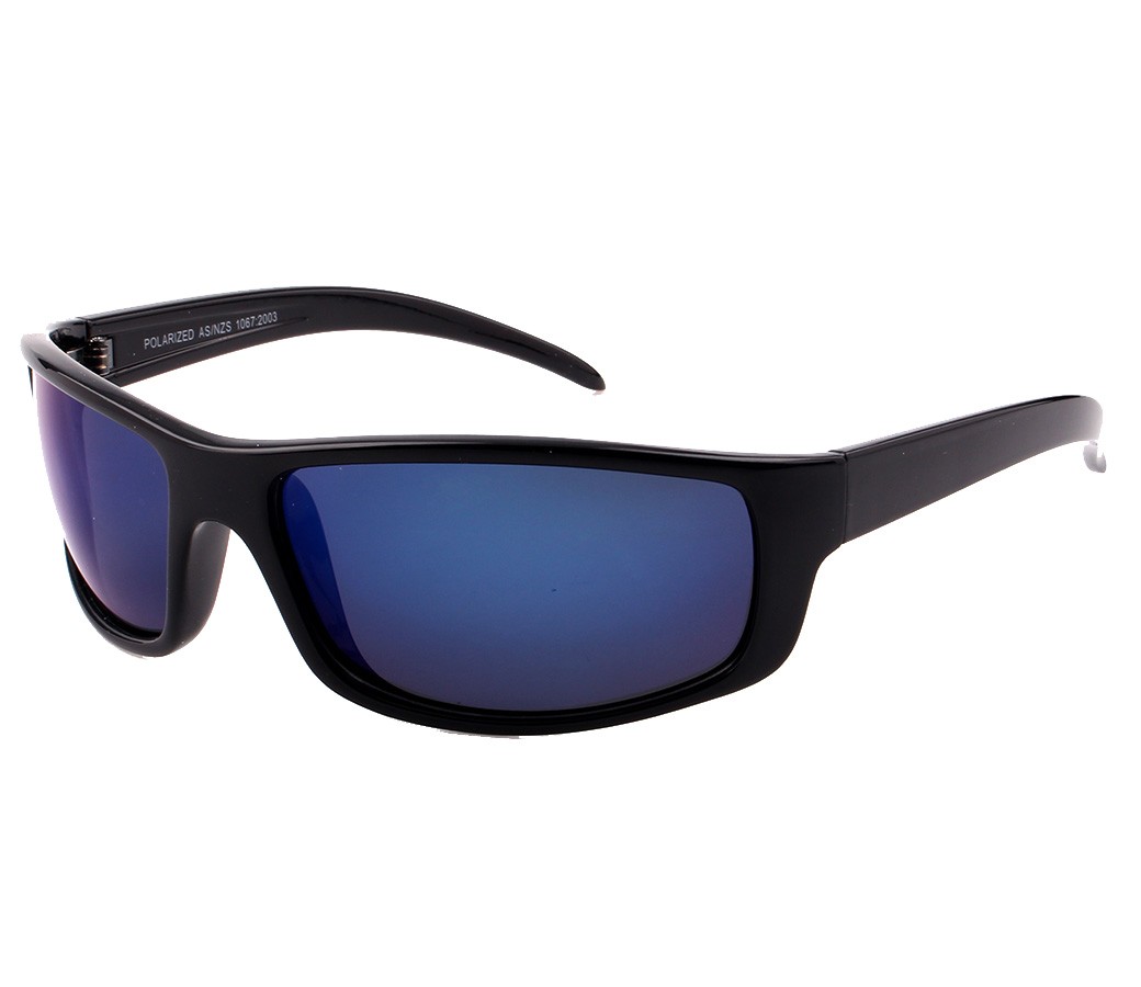 Polarized Sunglasses PPS5041